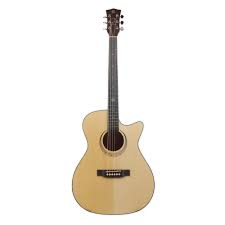 Classic Acoustic Guitar