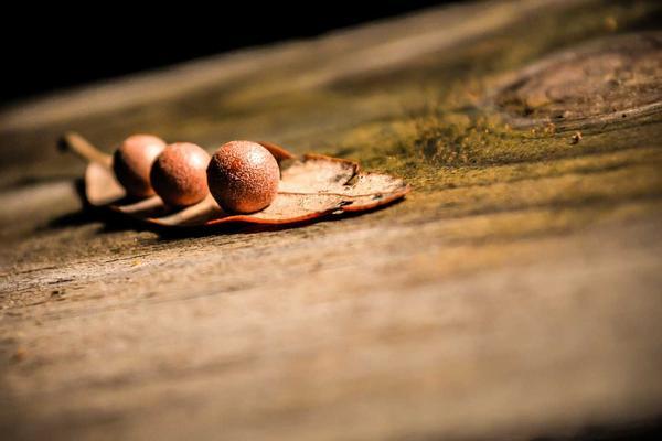 AI Adoption Accelerates Across African Startups